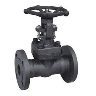 Class 150~1500 Forged Steel Flanged End Gate Valve