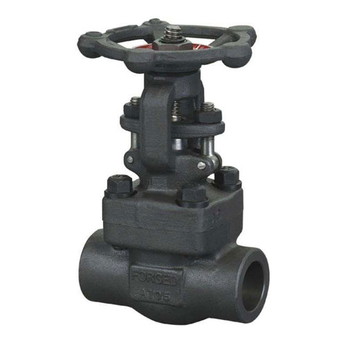 Class 800~1500 Forged Steel Gate Valve